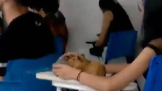 Reprodução// Instagram
