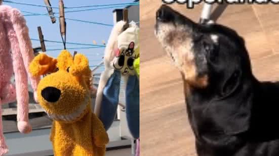 Reprodução/ TikTok @aturmadaka