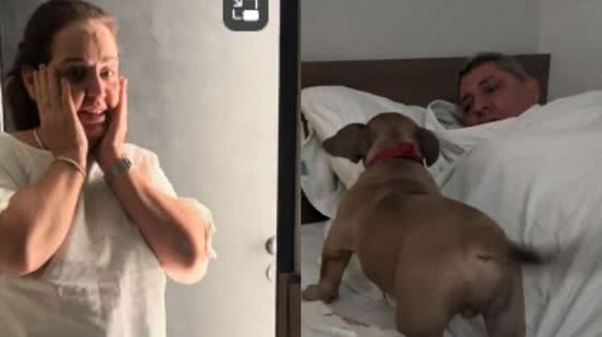 Reprodução// TikTok @talokahanna