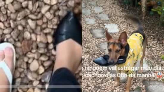 Reprodução// TikTok @micheleassis