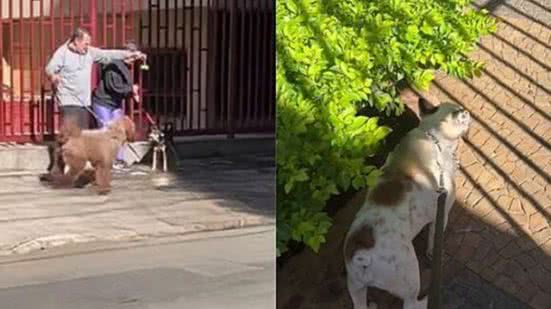 Foto: reprodução / TikTok