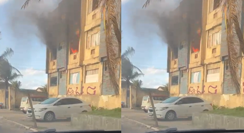 Leitor Bnews | Divulgação