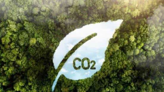 Divulgação / Freepik