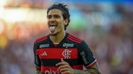 Marcelo Cortes/Flamengo