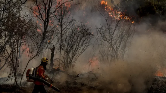 Marcelo Camargo / Agência Brasil