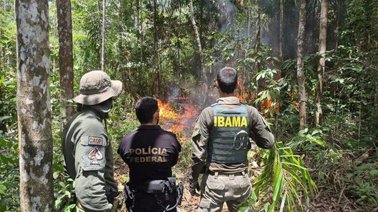 Ilustrativa/Divulgação/Governo Federal
