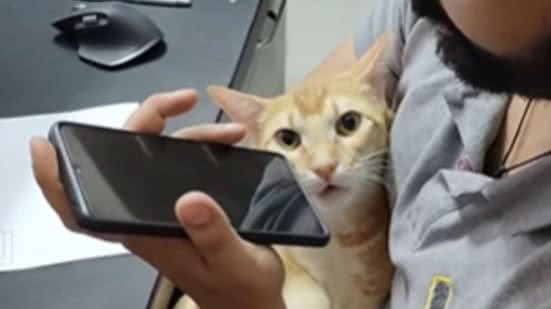 Reprodução / Redes sociais