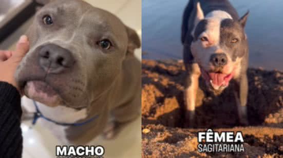 Reprodução / Redes Sociais