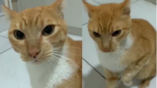 Reprodução / Redes Sociais