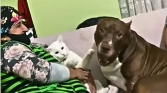 Reprodução / Redes Sociais