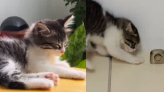 Reprodução / Redes Sociais