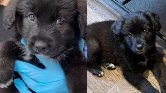 Reprodução / Redes Sociais