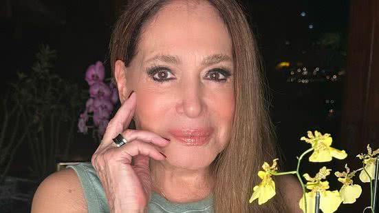 Reprodução / Redes Sociais @susanavieiraoficial