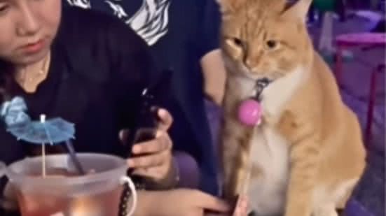 Reprodução / Redes Sociais