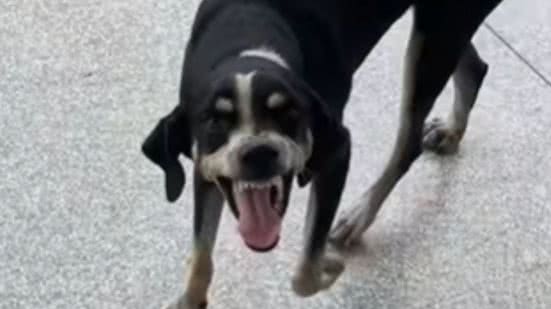 Reprodução / Redes Sociais