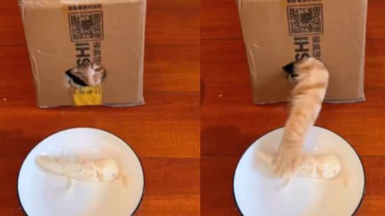 Reprodução / Redes Sociais