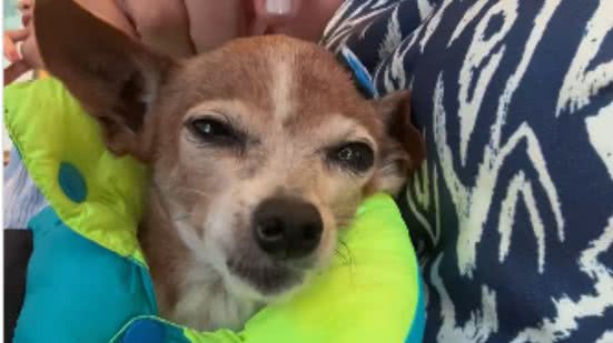 Reprodução / Redes Sociais