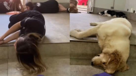 Reprodução / Redes Sociais