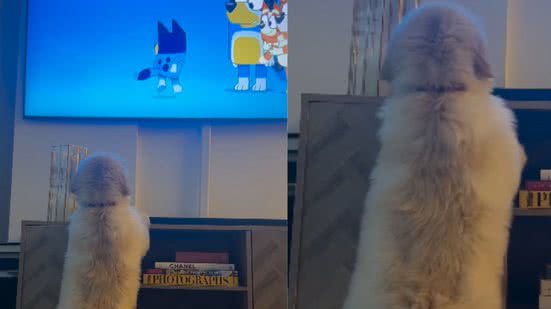 Reprodução / Redes Sociais