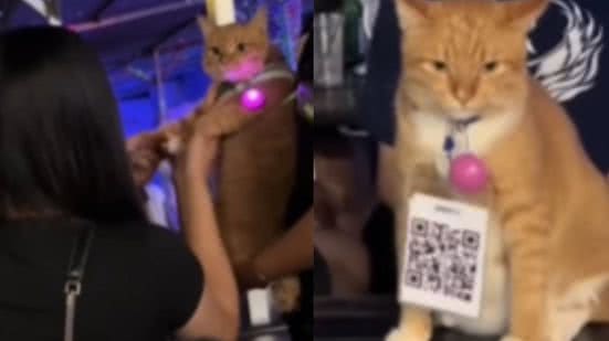 Reprodução / Redes Sociais