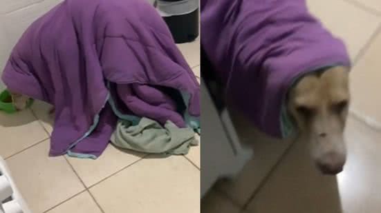 Reprodução / Redes Sociais