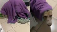 Reprodução / Redes Sociais