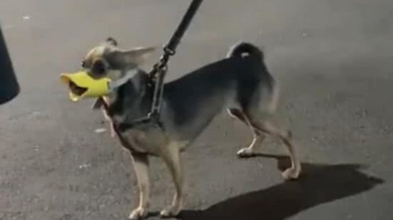 Reprodução / Redes sociais