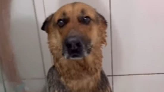 Reprodução / Redes Sociais