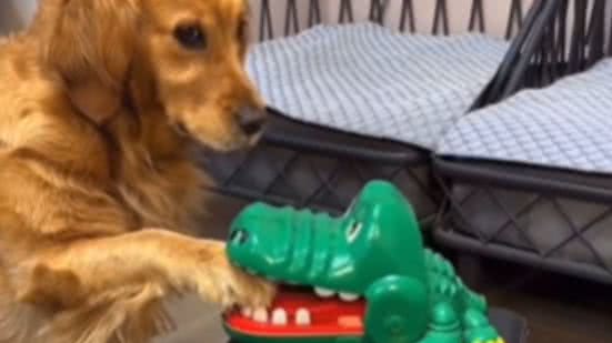 Reprodução / Redes Sociais