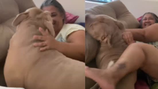 Reprodução / Redes sociais