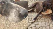 Reprodução / Instagram