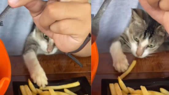 Reprodução / Redes sociais