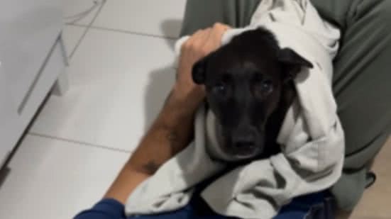 Reprodução / Redes Sociais