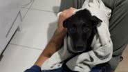 Reprodução / Redes Sociais