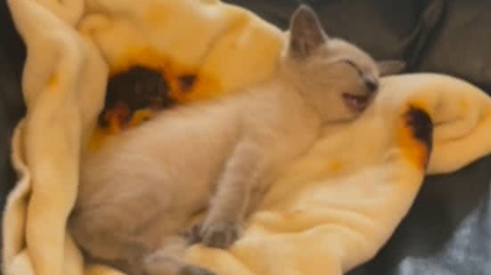 Reprodução / Instagram