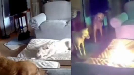 Reprodução / Redes Sociais