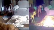 Reprodução / Redes Sociais