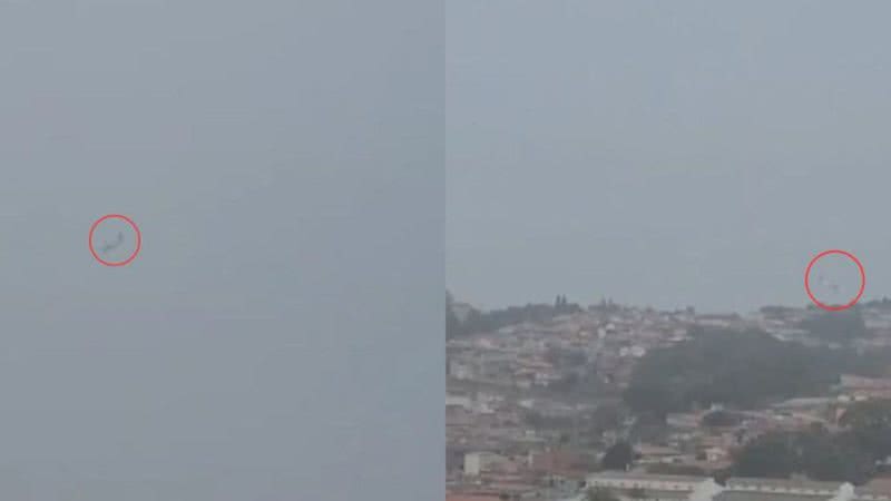 Reprodução