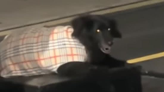 Reprodução / Instagram