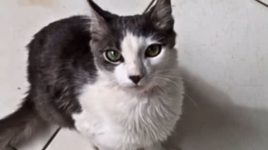 Reprodução / Instagram