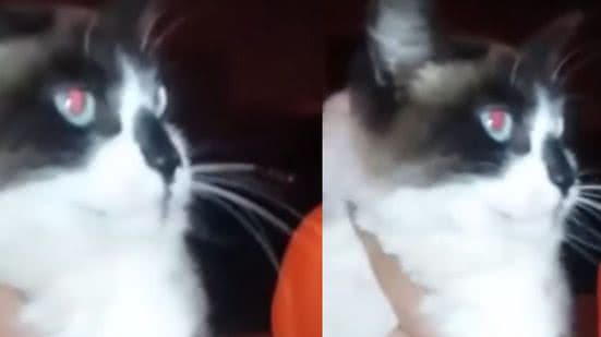 Reprodução / Redes sociais