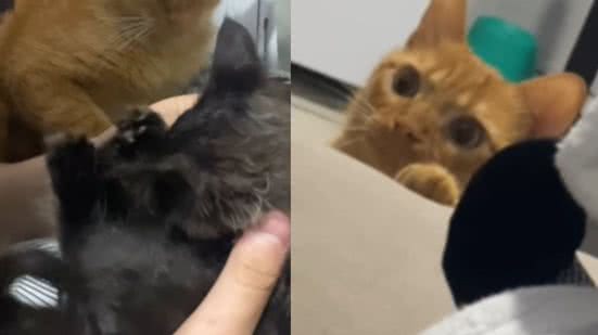 Reprodução / Redes sociais