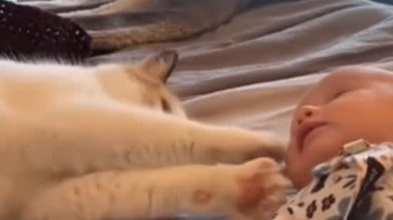 Reprodução / Redes sociais