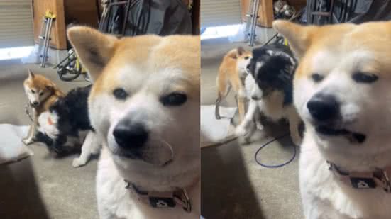 Reprodução / Redes sociais