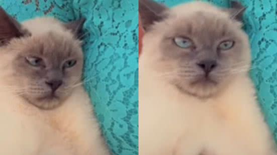 Reprodução / Redes sociais