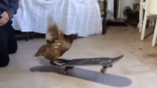 Reprodução / Redes sociais