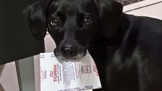 Reprodução / Redes sociais