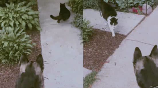 Reprodução / Instagram