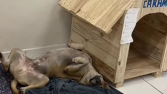 Reprodução / Instagram