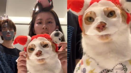 Reprodução / Redes sociais